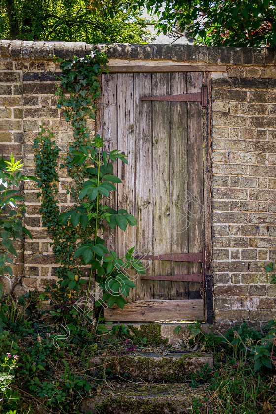 Hidden-Garden-Gate-DW-0033