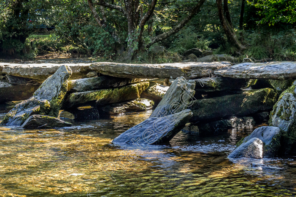 Tarr-Steps-DW-0031